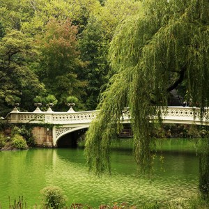 Central-Park-bridge
