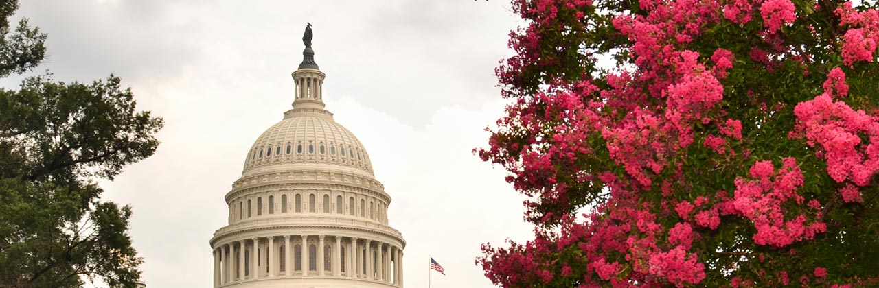 Washington-Capitol-Building